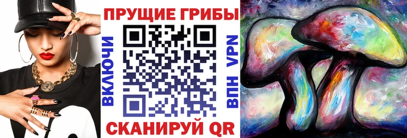 Галлюциногенные грибы Psilocybe  Купить  Петров Вал 